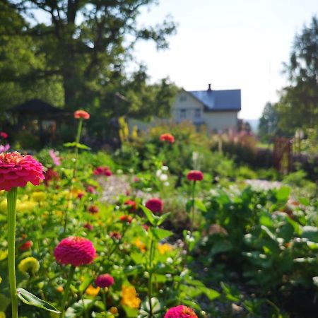 Disponentparken Cafe Och Bed & Breakfast Grängesberg エクステリア 写真