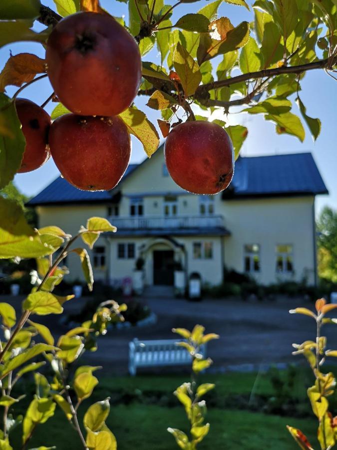 Disponentparken Cafe Och Bed & Breakfast Grängesberg エクステリア 写真