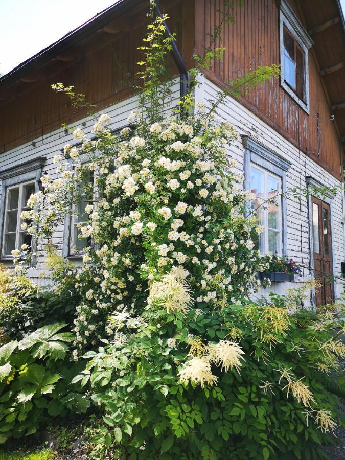 Disponentparken Cafe Och Bed & Breakfast Grängesberg エクステリア 写真