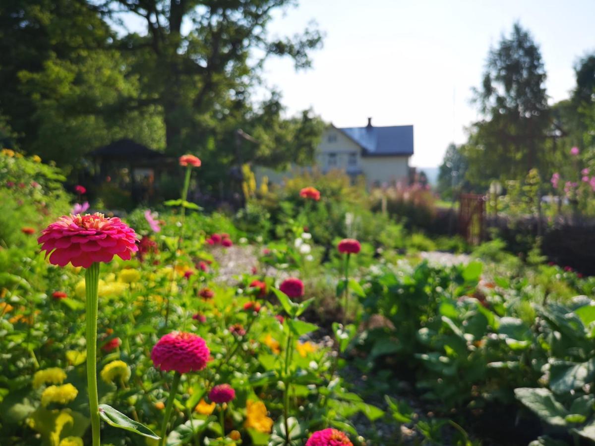 Disponentparken Cafe Och Bed & Breakfast Grängesberg エクステリア 写真